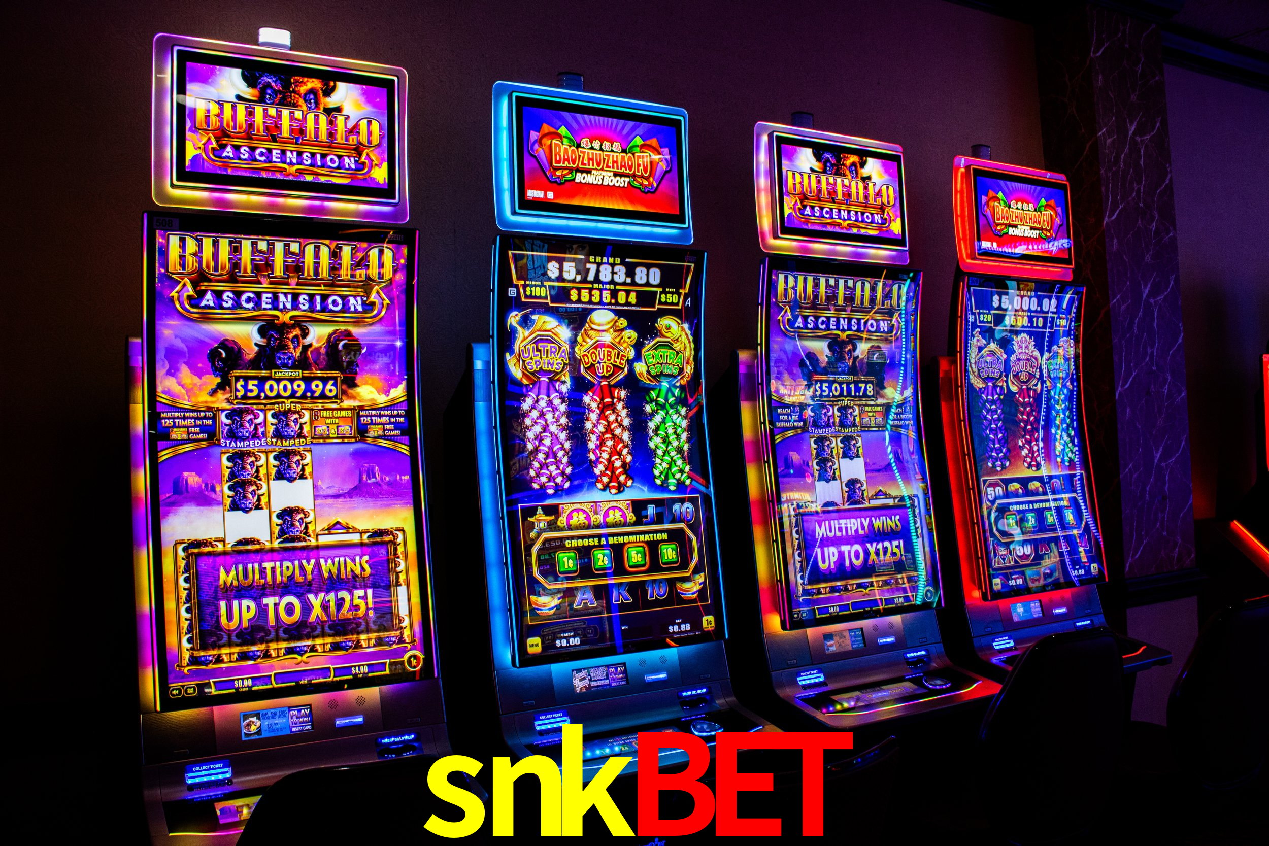 snkbet: A Experiência de Casino com Jogos de Mesa ao Vivo